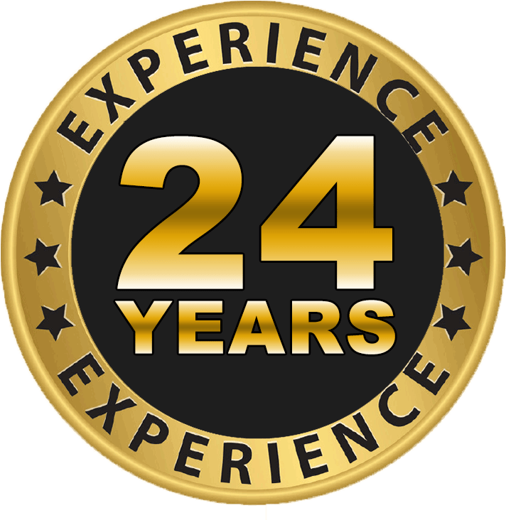 24+ years of domain experience by digital empiro